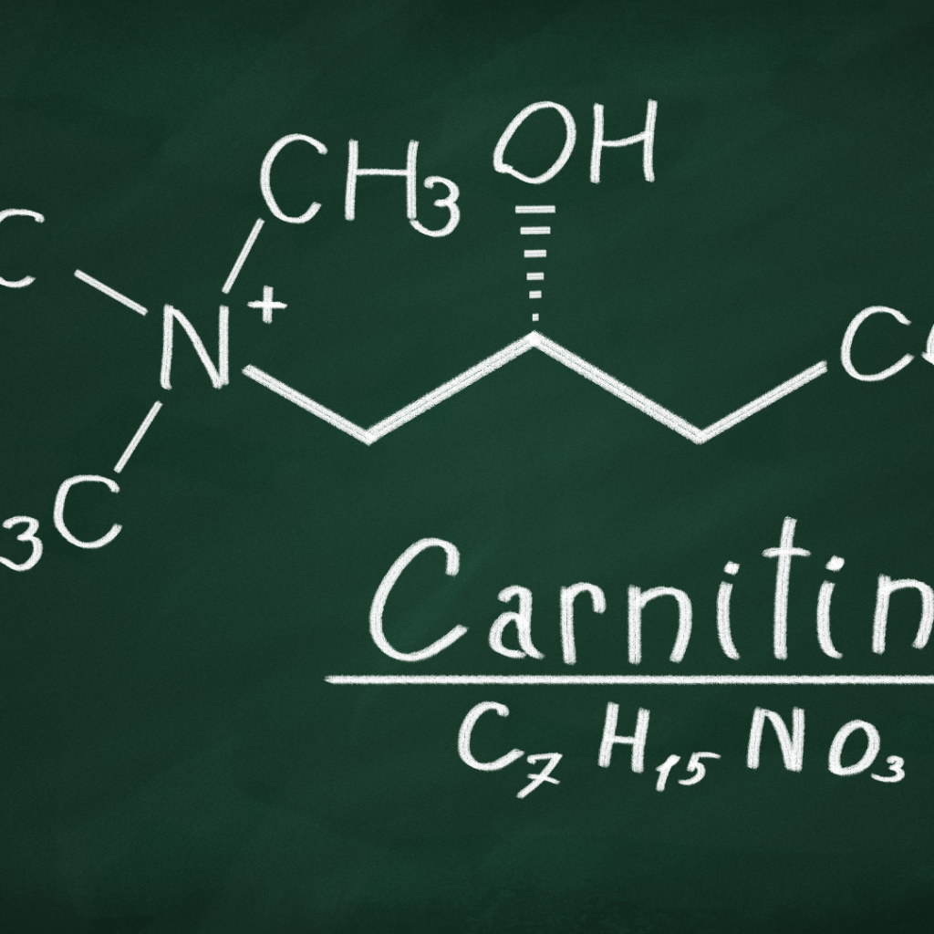 The Benefits Of L-Carnitine