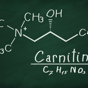 The Benefits Of L-Carnitine