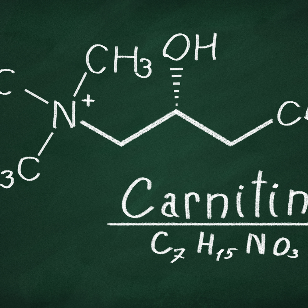 The Benefits of L-Carnitine Injections at Rejuvenate Wellness